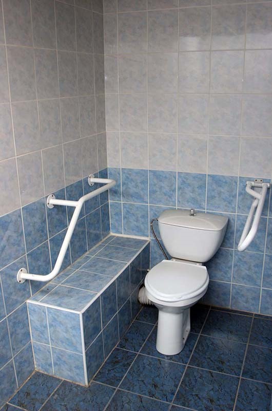 Тифлокомментарий к фото: Туалет, оборудованный для пользования инвалидами на колясках в Государственном Дарвиновском музее.