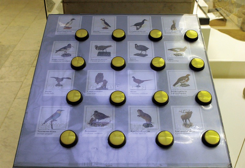 Тифлокомментарий к фото: Аудиоблок с голосами птиц, который дополнительно продублирован шрифтом Брайля в Государственном Дарвиновском музее.