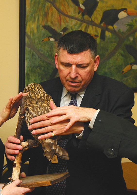 Тифлокомментарий к фото: Президент Европейского союза слепых лорд сэр Колин Лоу держит в руках чучело совы в Государственном Дарвиновском музее.